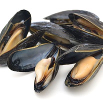 Mussels