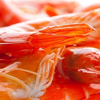 King Prawns